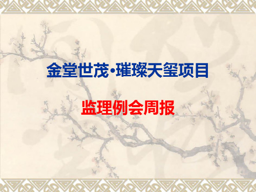 监理例会周报