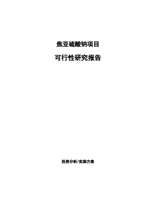 焦亚硫酸钠项目可行性研究报告