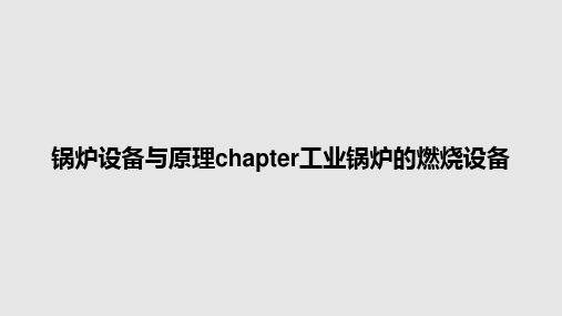 锅炉设备与原理chapter工业锅炉的燃烧设备PPT教案