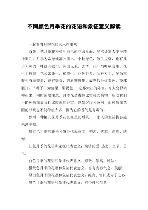 不同颜色月季花的花语和象征意义解读