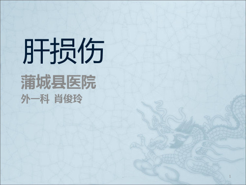 肝损伤ppt课件