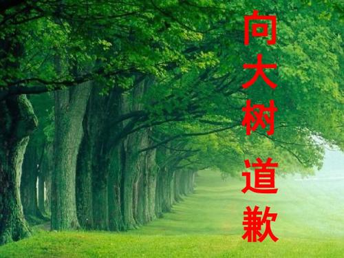 10《向大树道歉》课件