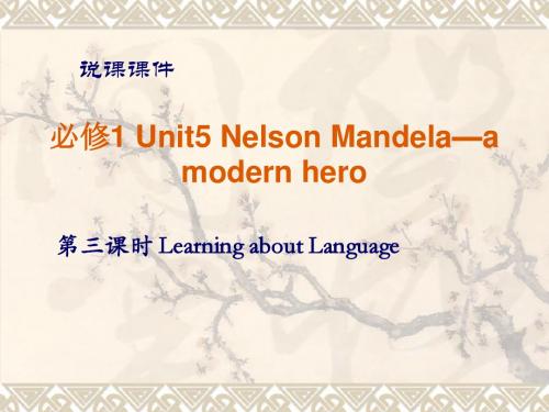 高一英语Unit5 Nelson Mandela 新课标 人教版 必修1