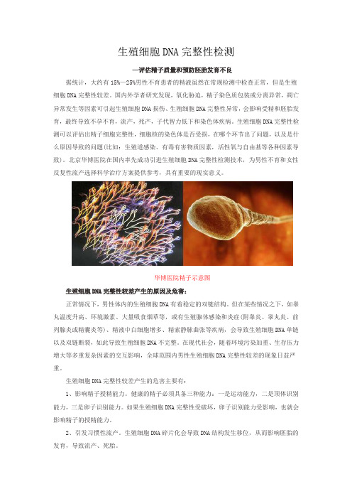 生殖细胞DNA检测对孕育方面的意义