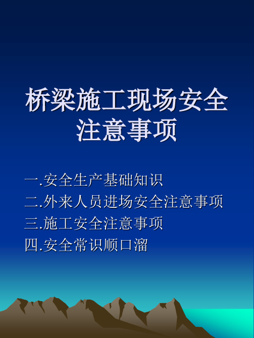 桥梁施工安全 PPT课件