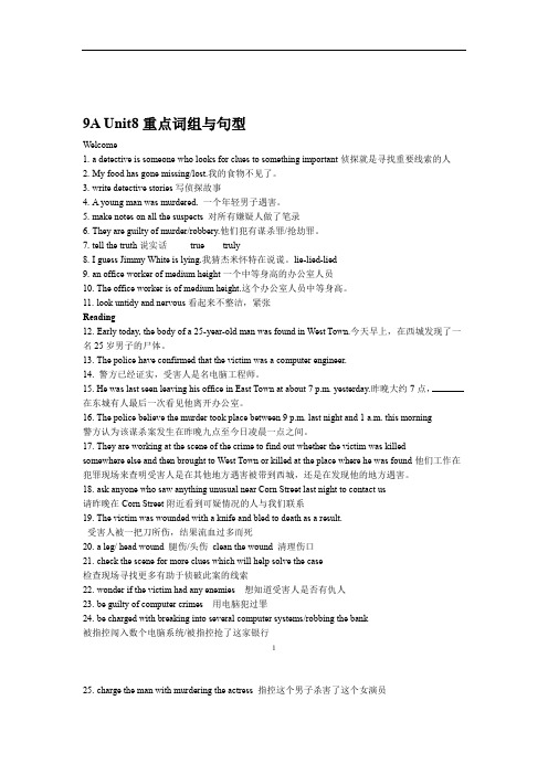 完整word版9AUnit8重点短语与句型