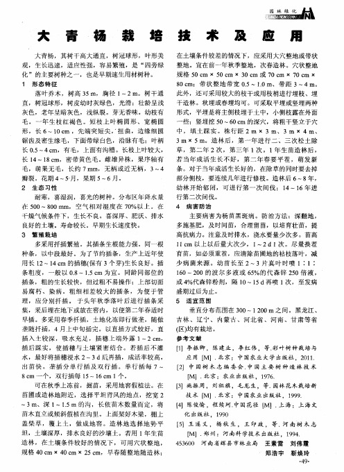 大青杨栽培技术及应用