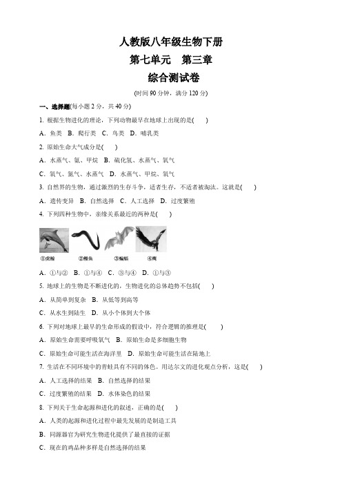 人教版八年级生物下册   第七单元第三章  生命起源和生物进化  综合测试卷(含答案)