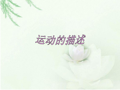 参照物