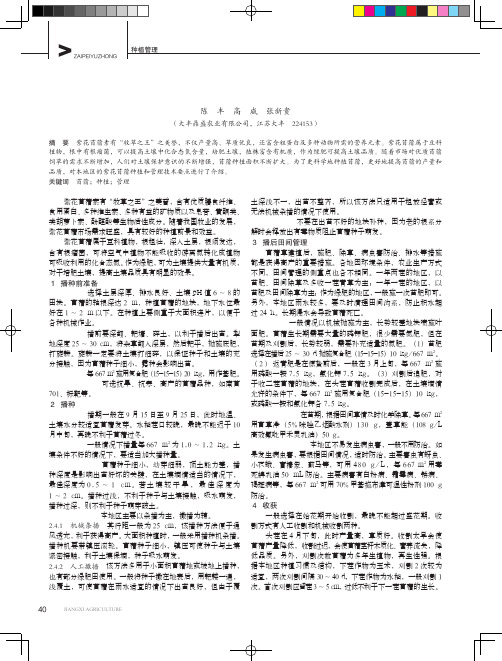 紫花苜蓿的种植和管理