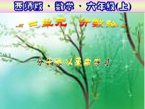 分数除以整数练习课
