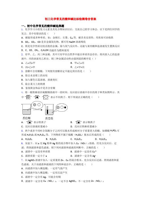 初三化学常见的酸和碱达标检测卷含答案