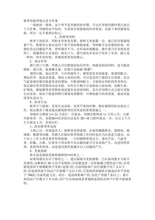 秋季母猪养殖注意5件事