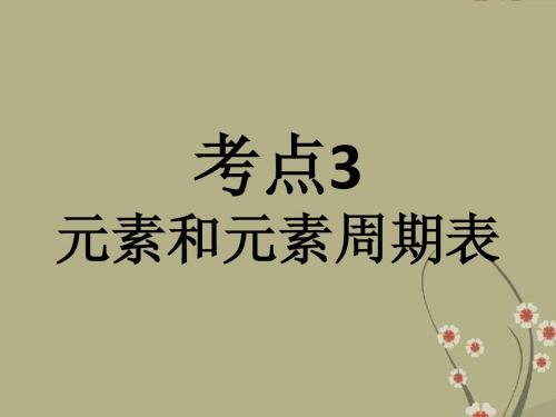 广东省佛山市中大附中三水实验中学2013届中考化学复习 考点3：元素和元素周期表课件 新人教版