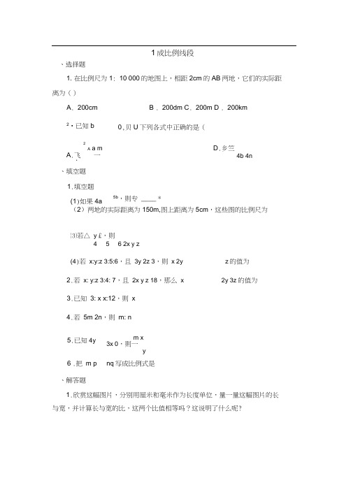 《成比例线段》同步练习2【北师大版九年级数学上册】