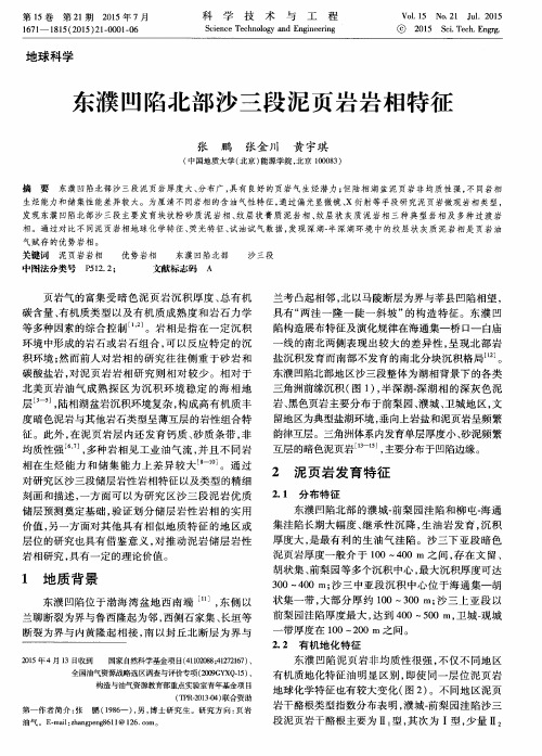 东濮凹陷北部沙三段泥页岩岩相特征