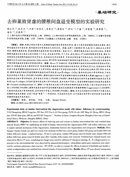 去卵巢致肾虚的腰椎间盘退变模型的实验研究
