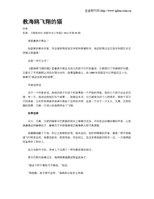教海鸥飞翔的猫