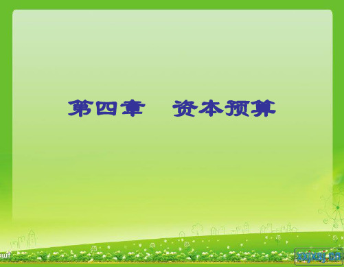 公司金融第4章  资本预算 第1节