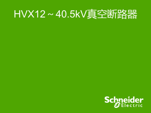 1 HVX12,24,40.5kV真空断路器 - Copy