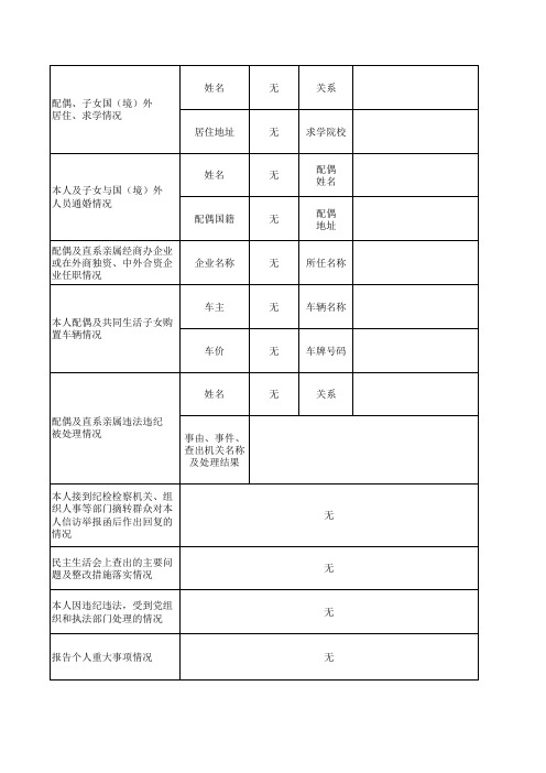 干部廉政情况登记表