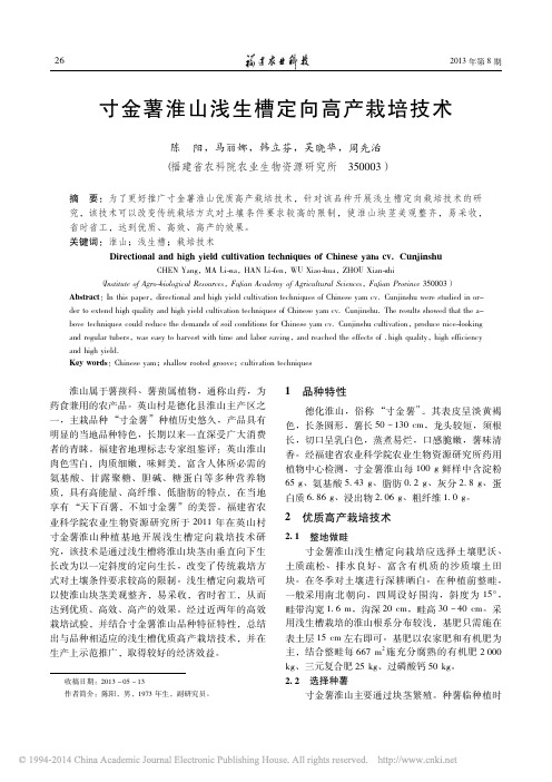 寸金薯淮山浅生槽定向高产栽培技术_陈阳