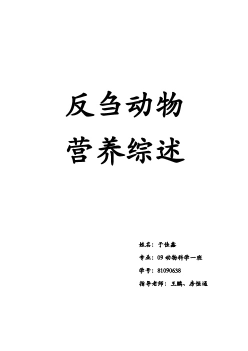 反刍论文