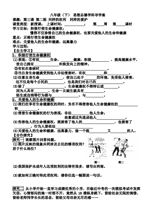 思想品德(人教版)八年级(下) 3-2 同样的权利 同样的爱护 导学案