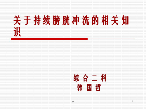 持续膀胱冲洗课件
