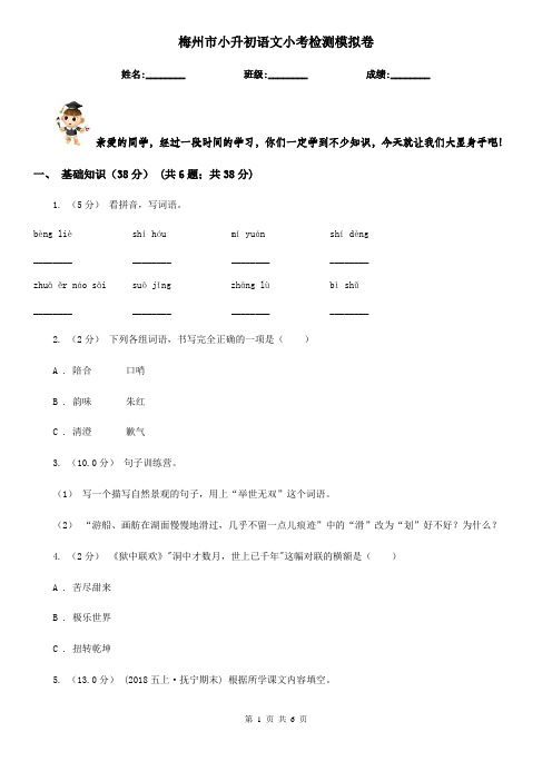 梅州市小升初语文小考检测模拟卷