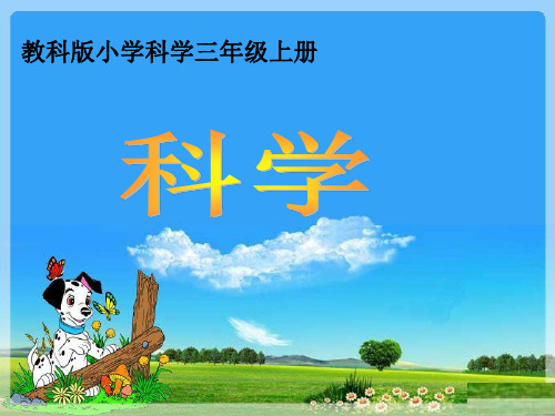 三年级上册科学-水和食用油的比较优秀课件教科版1