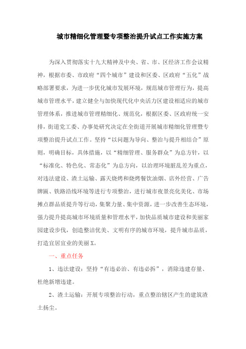 城市精细化管理暨专项整治提升试点工作实施方案(最新)
