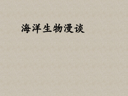 海洋生物科普知识精品PPT模板.ppt