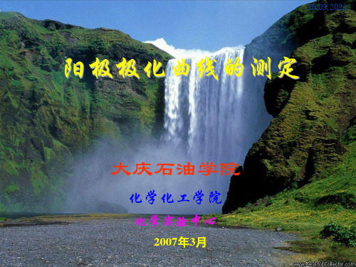 阳极极化曲线的测定PPT课件