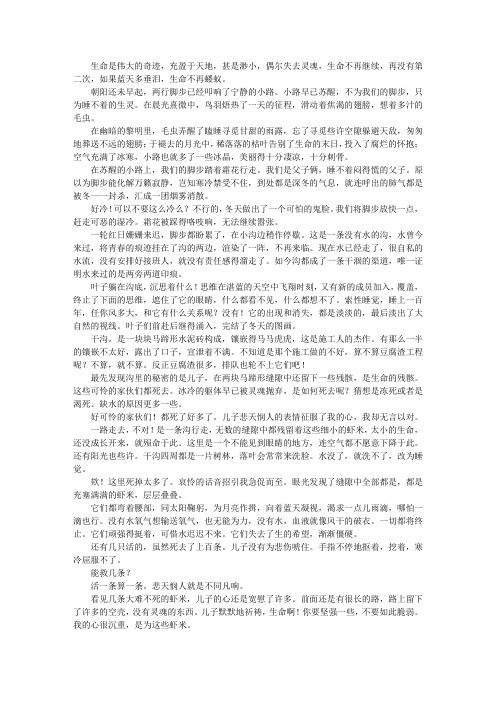为生命祈祷