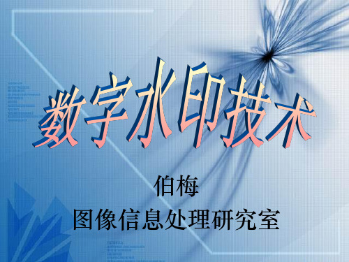 7 数字水印技术