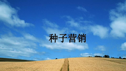 种子营销
