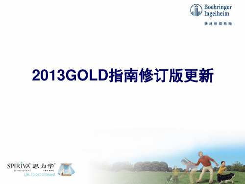 2013GOLD指南修订版更新