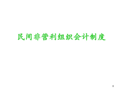 民间非营利组织会计制度