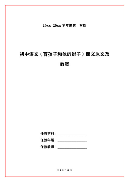 初中语文《盲孩子和他的影子》课文原文及教案