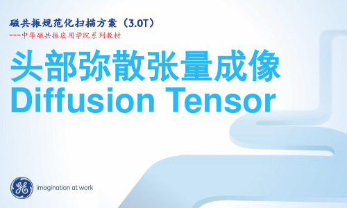 T DTI规范化扫描方案