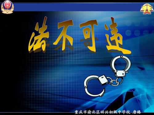 法不可违