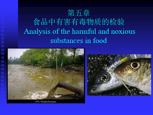 第五章有毒有害物质分析精品PPT课件