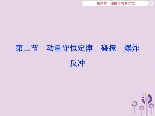 江苏省2020版高考物理第六章碰撞与动量守恒第二节动量守恒定律碰撞爆炸反冲课件