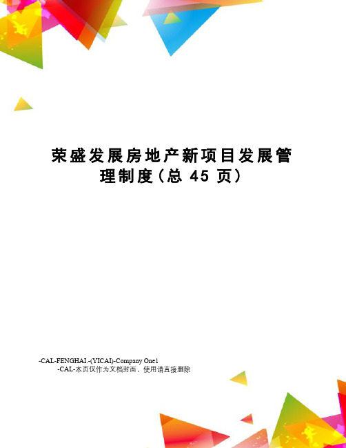 荣盛发展房地产新项目发展管理制度(总45页)