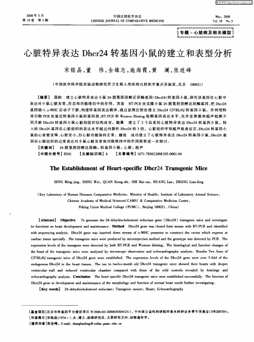 心脏特异表达Dhcr24转基因小鼠的建立和表型分析