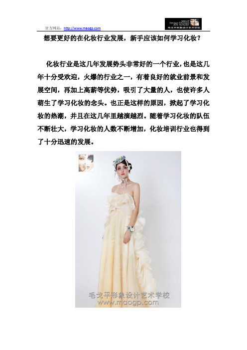 想要更好的在化妆行业发展,新手应该如何学习化妆？