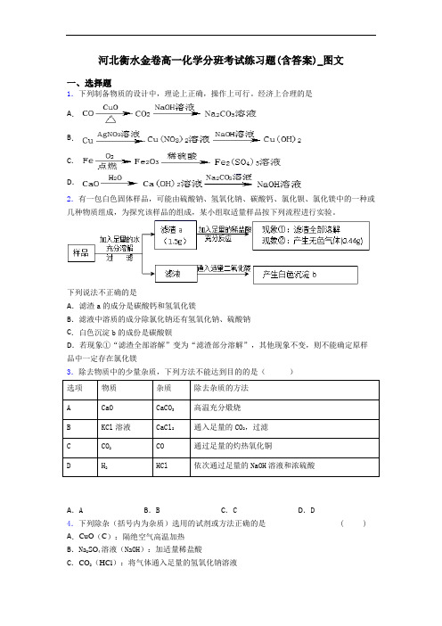 河北衡水金卷高一化学分班考试练习题(含答案)_图文