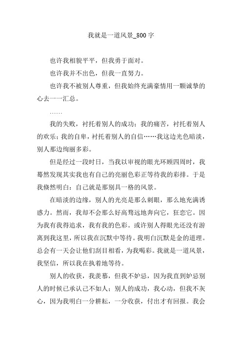 我就是一道风景_800字