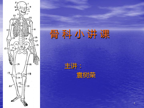 各种骨科疾病护理PPT课件